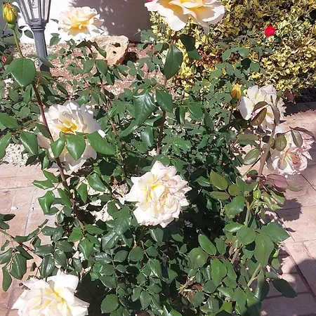 빌라 Budget Escape To The Seaside *