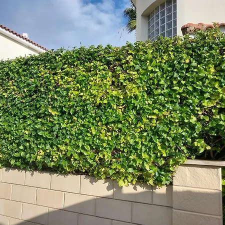 빌라 Budget Escape To The Seaside