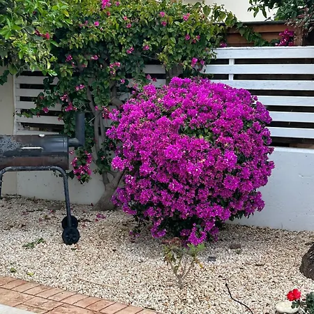 Budget Escape To The Seaside * לרנקה