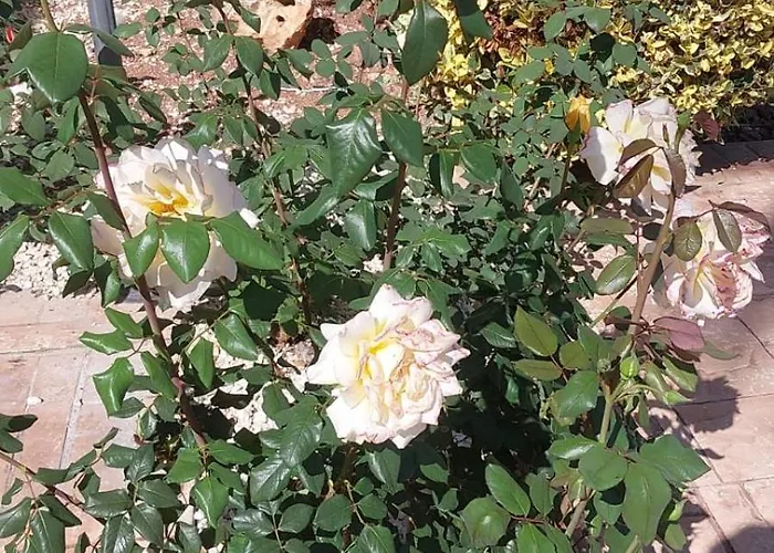 Villa Budget Escape To The Seaside *