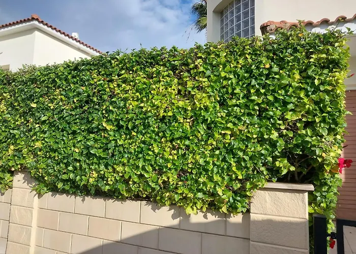 Villa Budget Escape To The Seaside