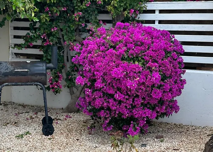 Budget Escape To The Seaside * Larnaca